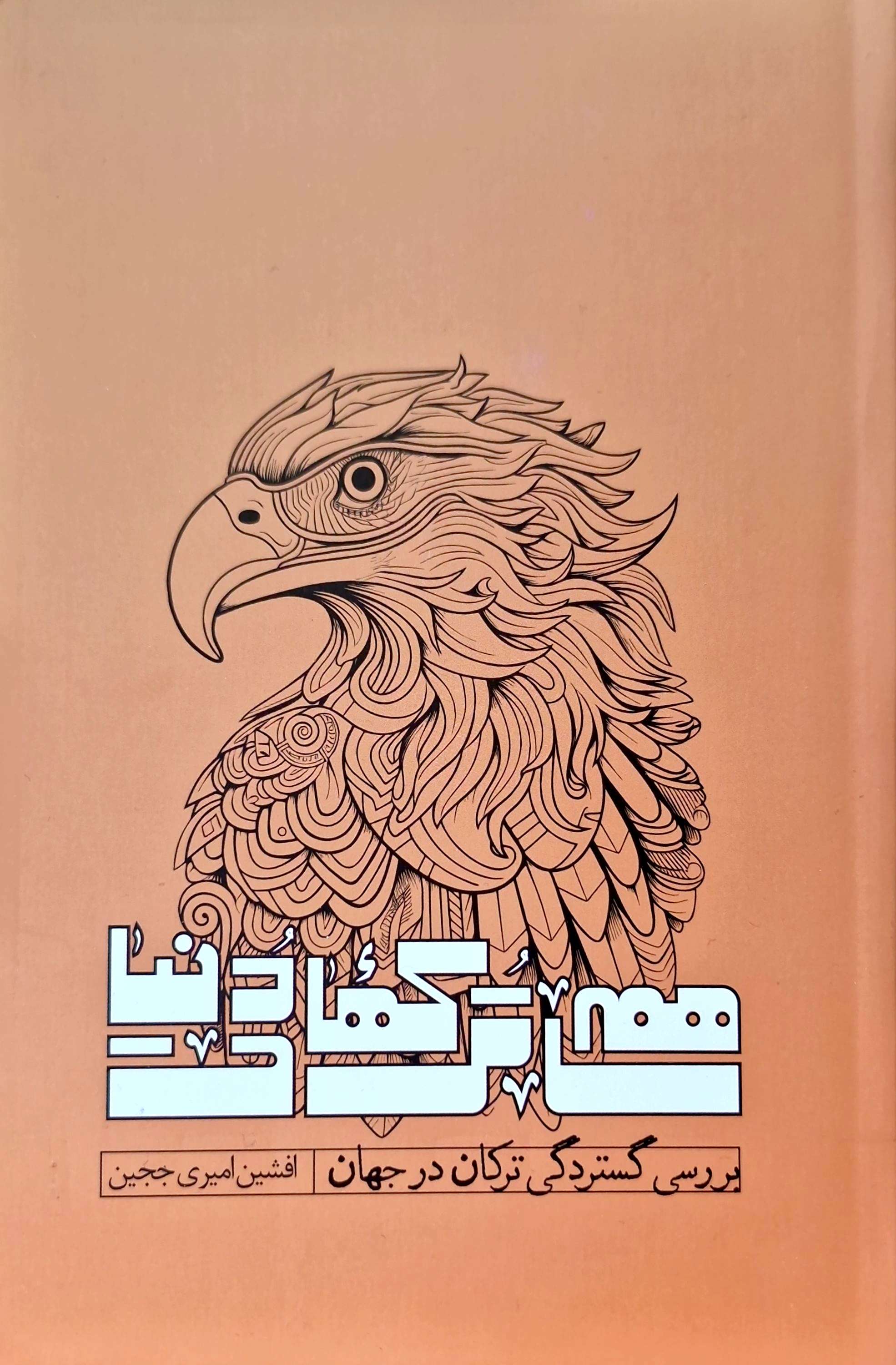 کتاب همه ی ترکهای دنیا/نویسنده: افشین امیری ججین/ انتشارات اندیشه نو